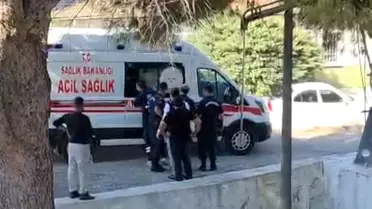 Milas'ta Tefecilik Operasyonu: 4 Tutuklama