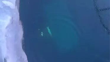 Tur aracı buzun altına düştü! Feci şekilde can verdiler