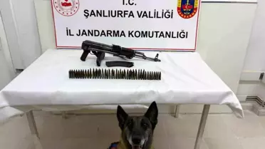 Suruç'ta Silah Operasyonu: 1 Gözaltı