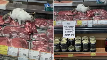 Zincir markette akılalmaz görüntü