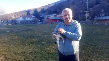 Gurbetçi, Aç Kedilere Mama Getirdi