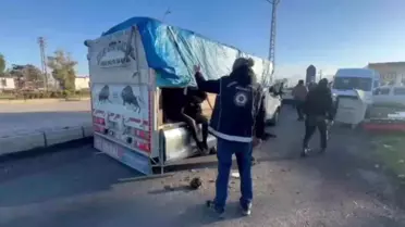 Hayvan dışkısının altından 19 kaçak göçmen çıktı