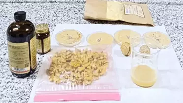 Vegan Sporculara Özel Ürün Geliştirildi