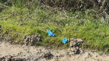 İstanbul'da vahşet! Kayıp Çinli iş insanı toprağa gömülü bulundu