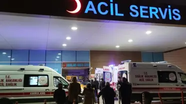 'İstanbul'da kuduz vakalarında patlama' iddialarına valilikten yanıt