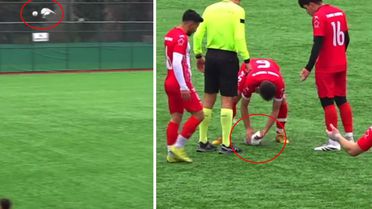 Sahalarda eşi benzeri görülmemiş olay! Top çarpan hayvanı kalp masajıyla hayata döndürdü