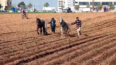 Çiftçi, Patates Tarlasında Geleneksel Yöntemle Çalıştı