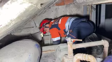 Kedi Su Deposundan Kurtarıldı