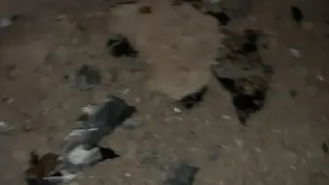 Balıkesir'de F-16 uçağı kaza kırıma uğradı; pilot şehit oldu