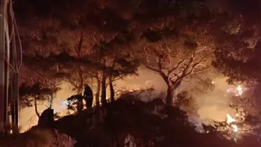 Bodrum'da Orman Yangını