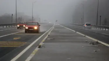 Bolu Dağı'nda Kar ve Sis Etkili