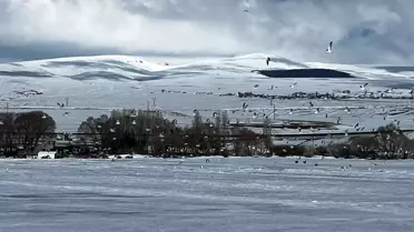 Çıldır Gölü'nde Martılar Erken Geldi