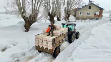 Köyde Büyüyen Güneş'in Doğayla İmtihanı