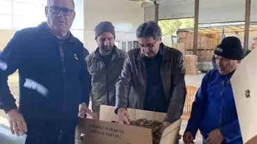 Karacasu'da tütünler paketlenmeye başladı, üretici fiyatlardan dert yandı