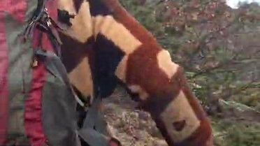 Çalının arkasındakini kuş sandı, karşısında görünce kanı dondu