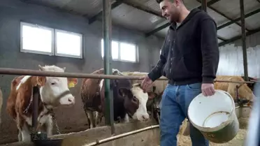 Bayburt'ta Hayvancılığa Yem Desteği