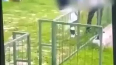 Bodrum'da Çocuklar Arasında Zorbalık Olayı