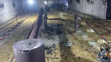 Göynük'te Tavuk Kümesinde Yangın