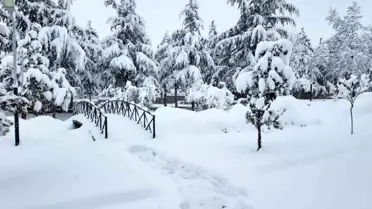Hacılar Belediyesi ekipleri karla mücadele için sahada