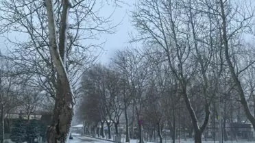 İzmir'de Kar Yağışı Başladı