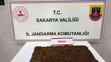 Sakarya'da Uyuşturucu Operasyonu: 1 Tutuklama