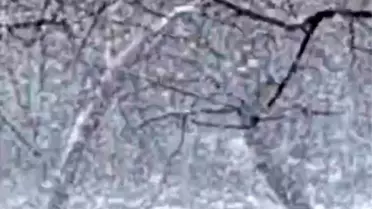 Mudurnu'da Yoğun Kar Yağışı