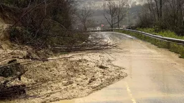 Ünye'de Heyelan: Fındık Bahçesi Yola Düştü