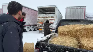 Erzincan'da Mahsur Kalan TIR'lara Yem Desteği