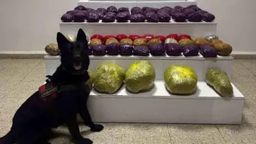 Başkale'de 31,5 kg Uyuşturucu Ele Geçirildi