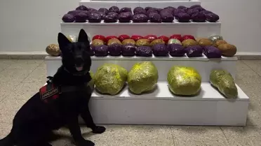 VAN'da Uyuşturucu Operasyonu: 30 Kilo Skunk Ele Geçirildi
