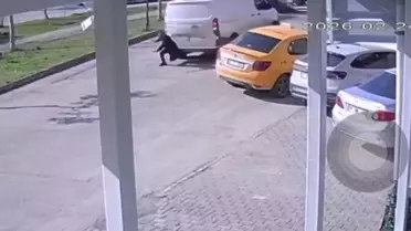 Adana'da Yaya Kamyonetin Çarpmasıyla Yaralandı