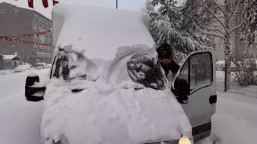 Leylekler Kar Altında Kaldı