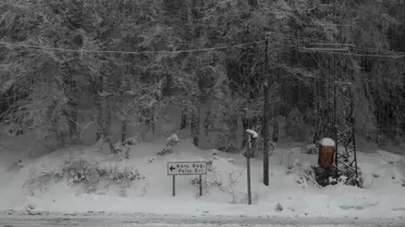 Bolu Dağı'nda Kar ve Sis Etkili