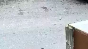 Sultangazi'de Bıçaklı Kavga: Eşini Aldatan Koca Korkunç Bir Olay Yaratıyor