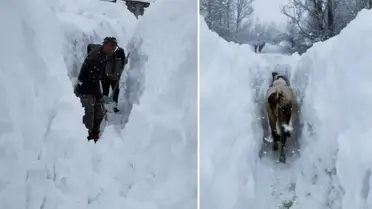 Tunceli'de kar kalınlığı insan boyunu aştı