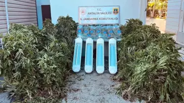 Antalya'da Uyuşturucu Operasyonu: 23 Kilo Skunk Ele Geçirildi