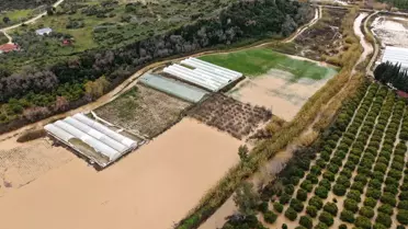 Antalya'da Tarım Felaketi: Zarar 3 Milyar TL'yi Bulabilir