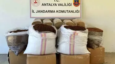 Gazipaşa'da 500 kg Kaçak Tütün Ele Geçirildi
