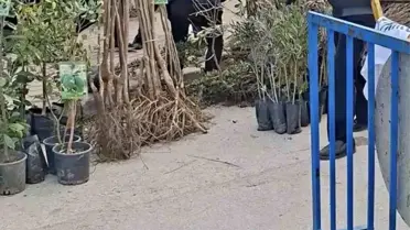 Bursa'da seyyar satıcılardan zabıtaya bıçaklı saldırı, 1 zabıta yaralandı