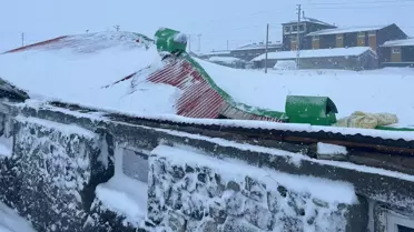 Kars'ta Kar Yükü Ahırları Çöktürdü