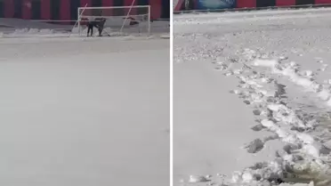 Diz boyu kar yağdı! Sizce burada maç oynanır mı?