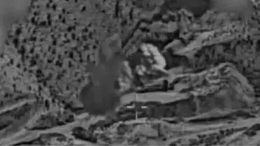 İsrail'den 'Kükreyen Aslan' Operasyonu