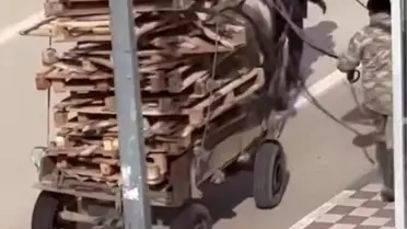 Karacabey'de Atın Aşırı Yükü Tepki Topladı