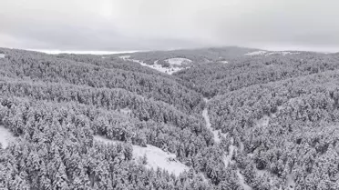 Dumanlı Tabiat Parkı Kış Güzellikleriyle Büyülüyor