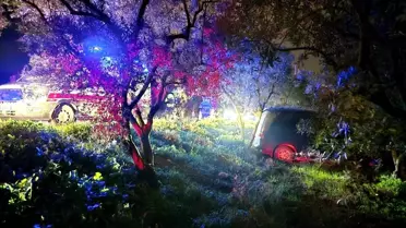 Mudanya'da Trafik Kazası: Zeytinliğe Daldı