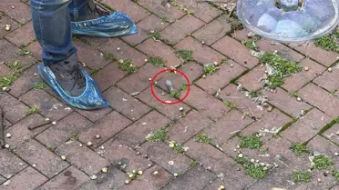 Antalya'da Butik İşletmecisine Silahlı Saldırı