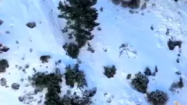 Buz Tırmanışında Ayı Paniği