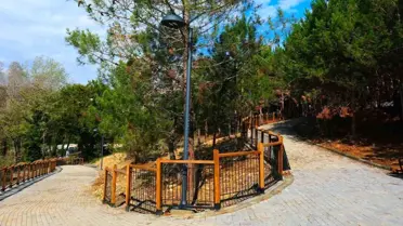 Sakaryalılar 23 Nisan Halk Koşusu'nda bulaşacak