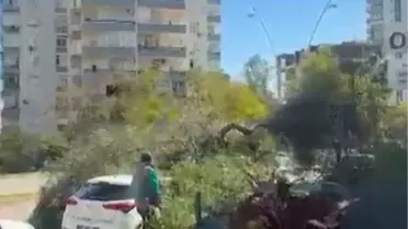 Adana'da Şiddetli Rüzgar Ağaçları Devirip Çatılar Uçurdu