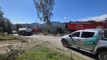 Osmaniye'de Orman Yangını Kontrol Altına Alındı